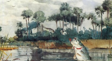  Flor Arte - Black Bass Florida Realismo pintor Winslow Homer